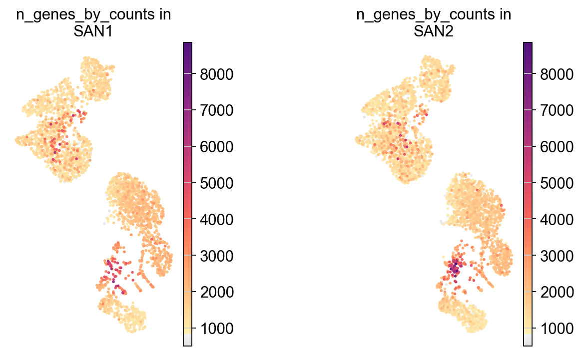 ../_images/notebooks_05_scRNAseqProcessingTutorial_SAN1SAN2_47_0.png