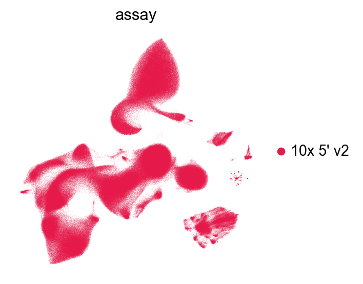 ../_images/notebooks_1millionCells_AsianImmuneDiversityAtlasPhase1v2_45_0.png